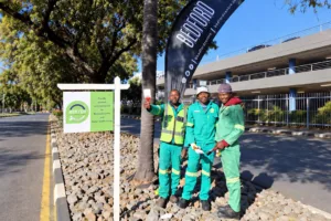 Bedford Better Bedfordview Partnership